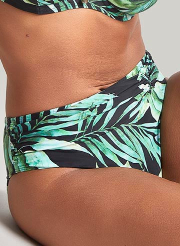 Panache Swimwear: Bali High Waisted Bikini Brief Palm Print