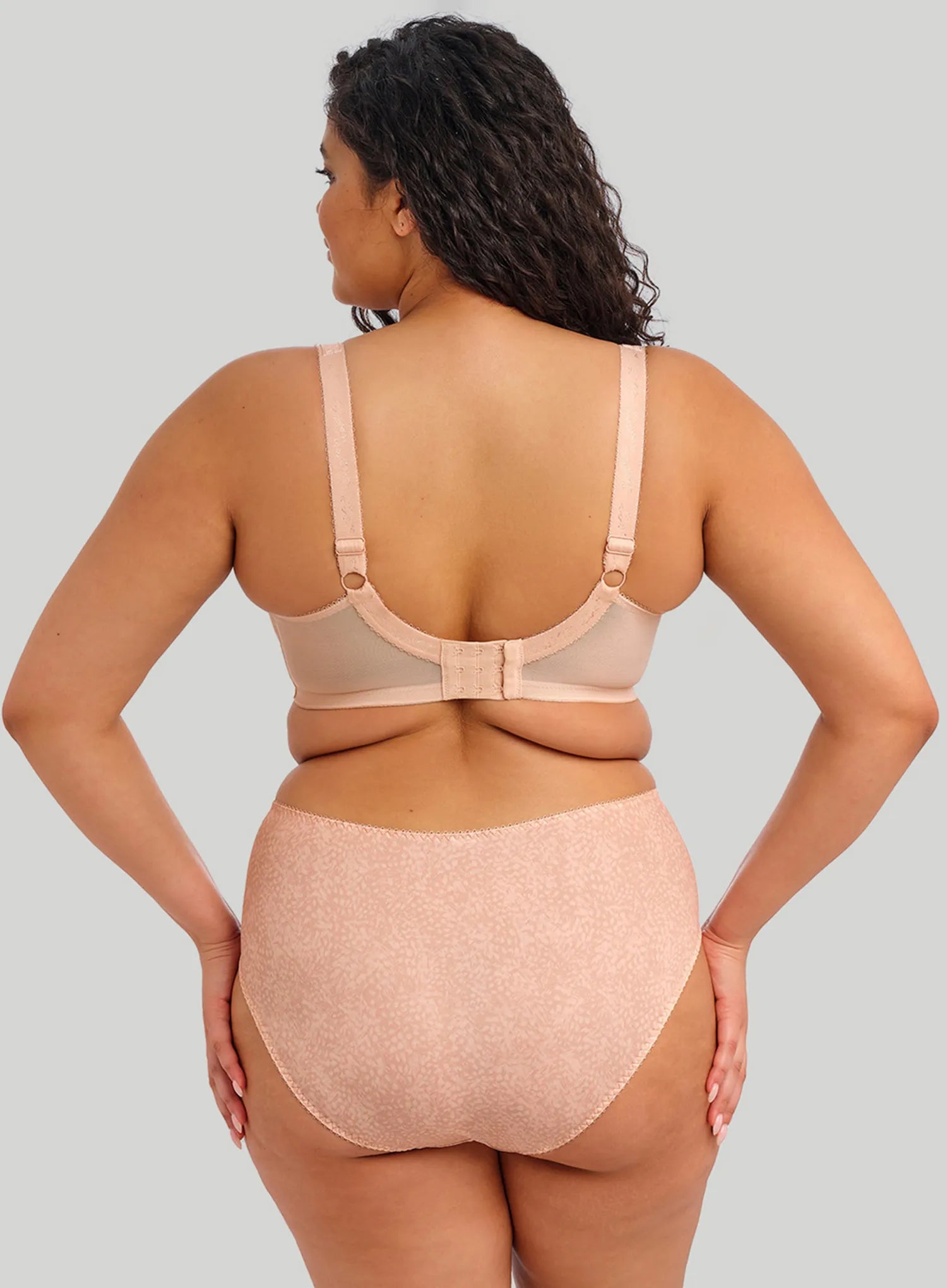 Elomi: Morgan Full Brief Cameo Rose