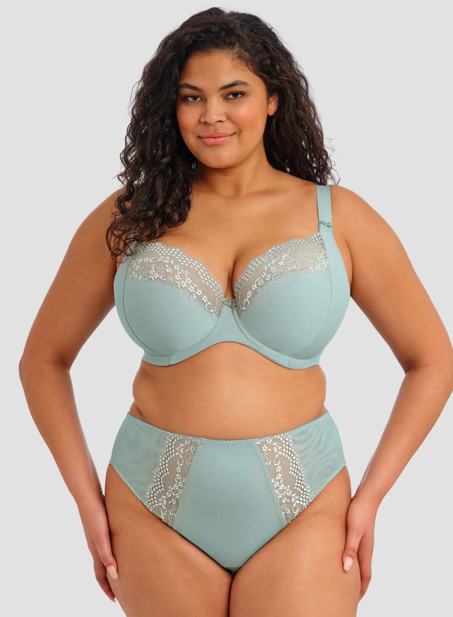 Elomi: Lucie High Leg Brief Mist