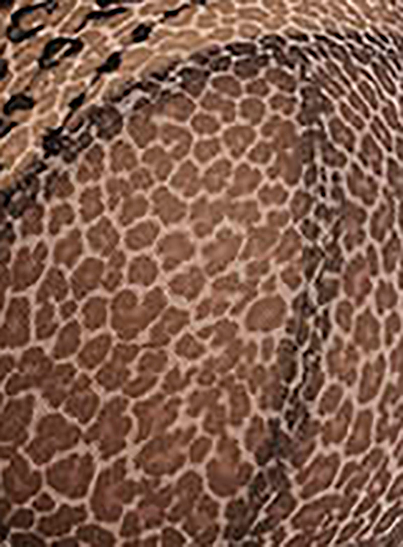 Elomi: Matilda Thong Leopard