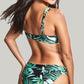 Panache Swimwear: Bali Fold Bikini Brief Palm Print